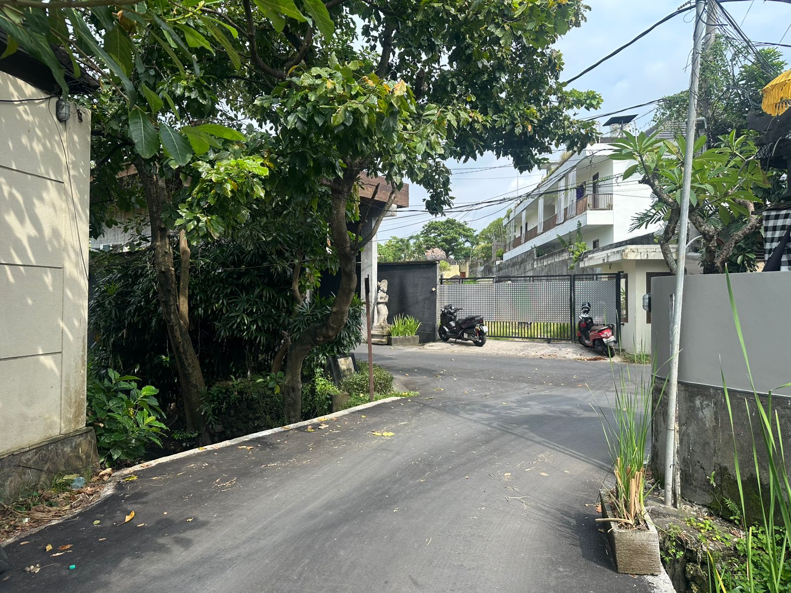Rare Premium Land for Sale in Petitenget 6 Rare Premium Land for Sale in Petitenget - Image 6