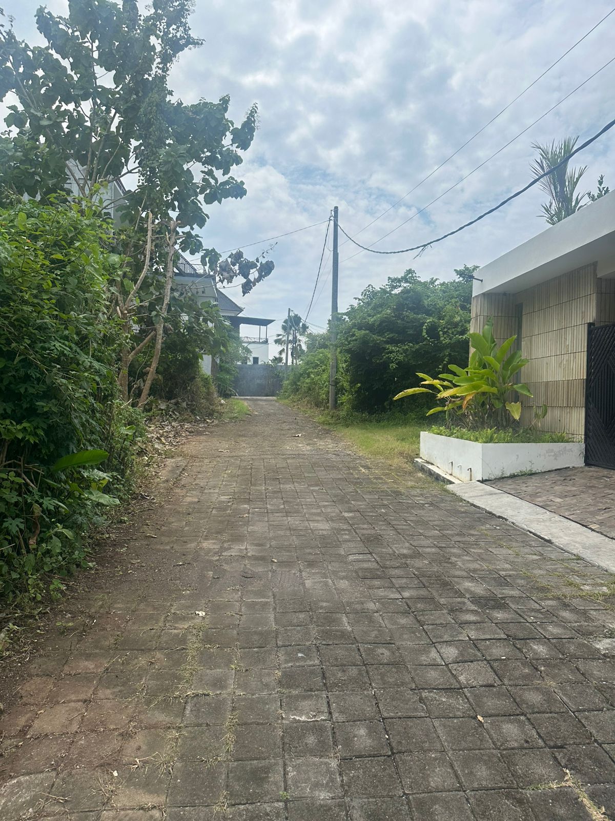 Prime Land Near Udayana University - Image 4