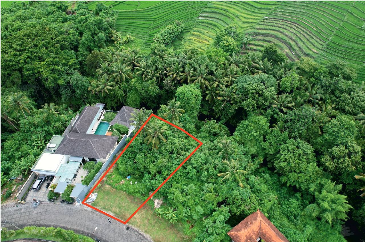 FOR SALE EXCLUSIVE RIVERSIDE LAND WITH RICEFIELDS VIEW - Image 2
