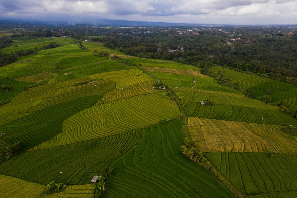 pexels-photo-6965551-6965551 Stunning aerial view of vibrant green rice terraces under cloudy skies.