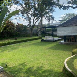 Home 1 Charming Freehold Home for Sale in Pejeng Ubud