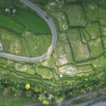 A stunning aerial shot of verdant rice terraces in Rendang, Bali, showing intricate patterns.
