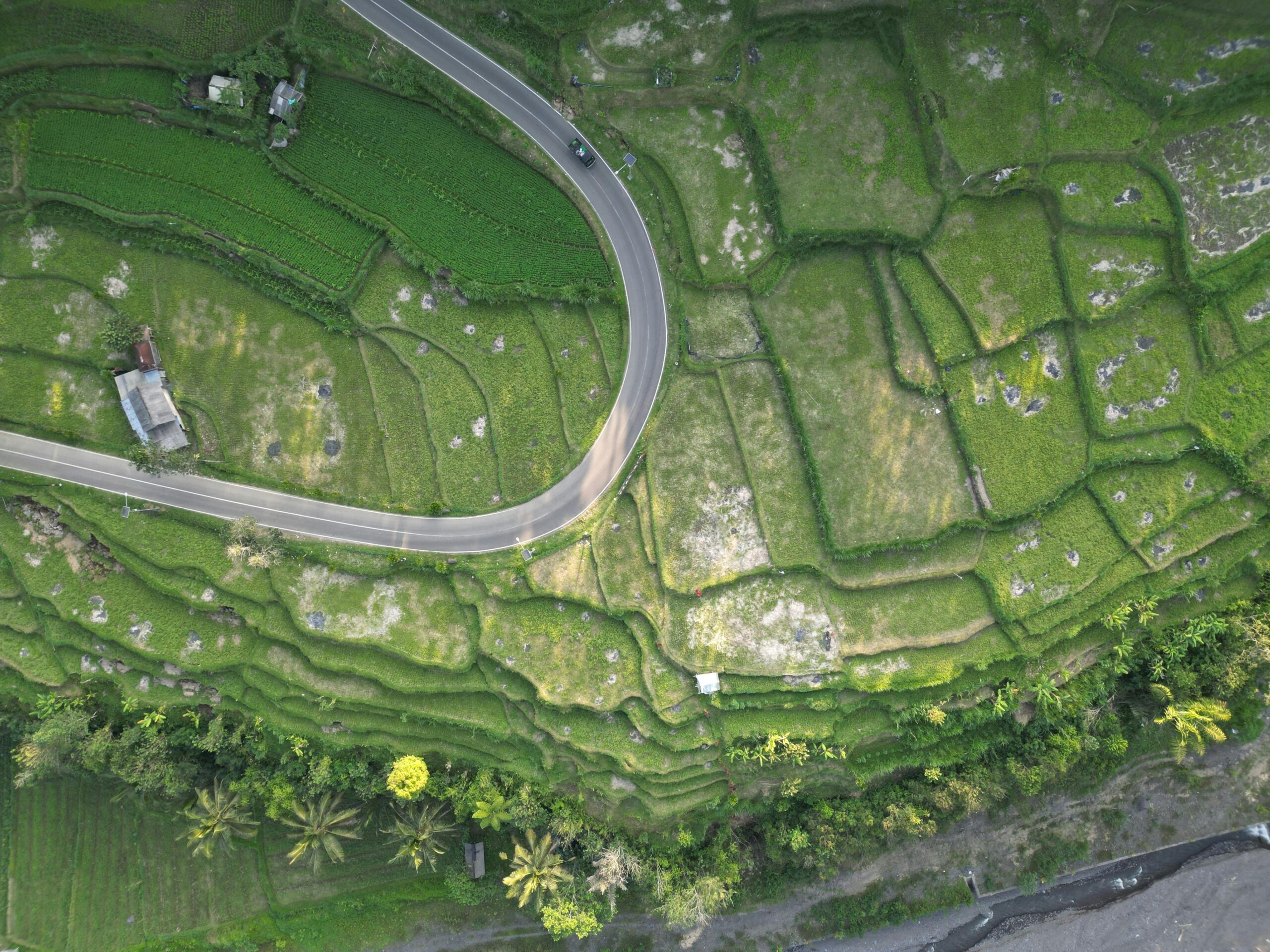 Freehold Lands for Sale in Bali: High-Yield Investment Opportunities 3 Freehold Lands for Sale in Bali