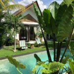 Luxurious villa in Bali with a private pool surrounded by tropical foliage.